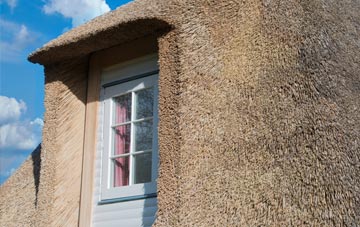 Trenear thatch roof disadvantages