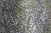 Trenear fibreglass roof work